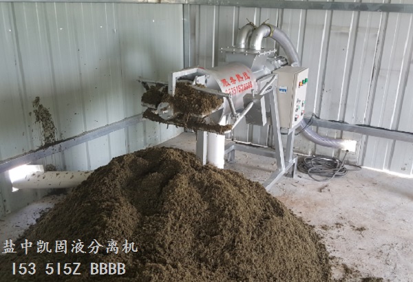 樱桃视频18入口在线观看免费