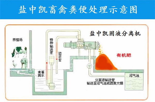 樱桃视频黄色免费下载機
