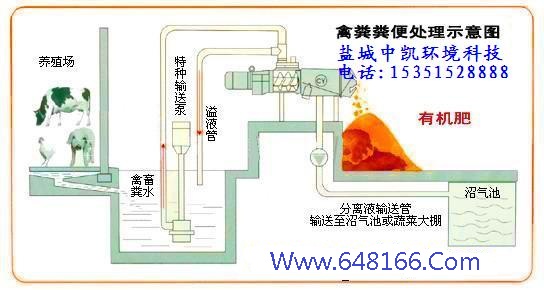 樱桃视频18入口在线观看免费示意圖